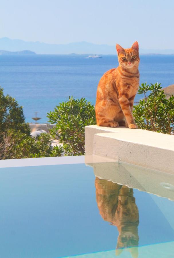 Villa With View Of Agios Ioannis And Pool With Jacuzzi Kültér fotó